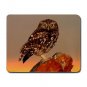 Little Owl In Spain MOUSEPAD