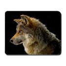 Mexican Grey Wolf MOUSEPAD