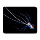 Octopus Hawaii MOUSEPAD