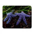 Sea Star Eel Grass MOUSEPAD