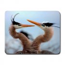 Two Blue Herons MOUSEPAD