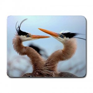 Two Blue Herons MOUSEPAD