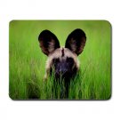 Wild Dog In Botswana MOUSEPAD