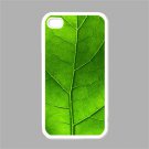 Burdock Leaf Apple iPhone 4 Case (White)