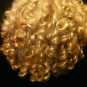 Curly Top