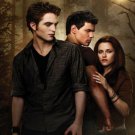 T-shirt with print twilight
