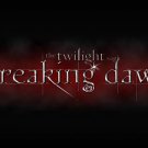 T-shirt with print twilight