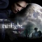 T-shirt with print twilight