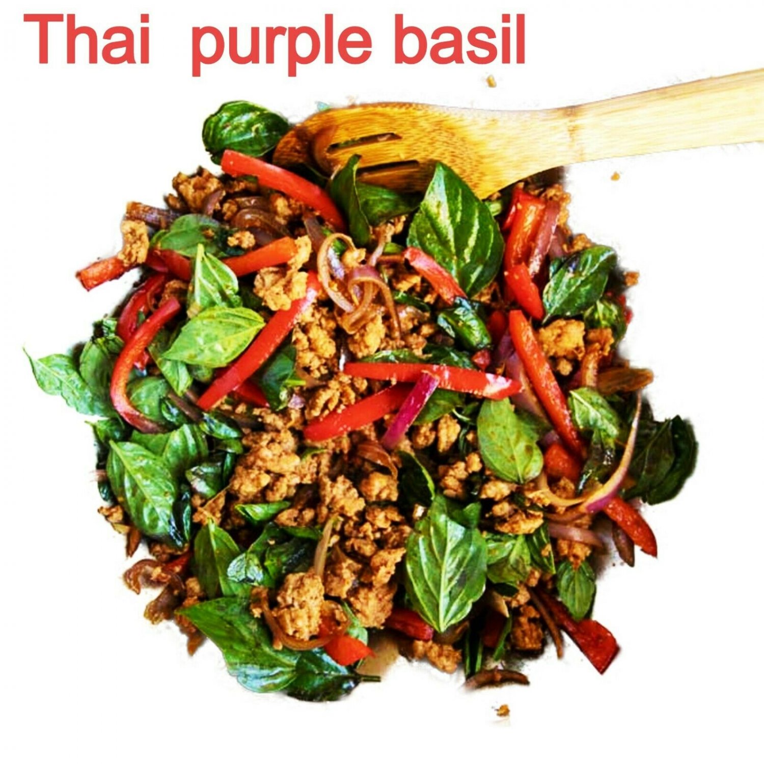 Thai Basil Seeds Siam Queen Thai Herb Purple Basil, NONGMO (50) FREE