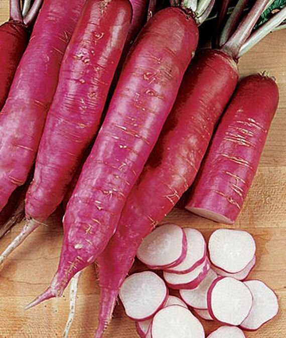 Radish, Salad Rose RADISH Seeds 50+ SEEDS NONGMO healthy food USA seller