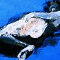 Nude woman 10