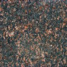 12" Tan Brown Granite Tile 10 SQUARE FEET (10 TILES)