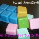 Sugar Cookie scented 4 oz Soy Meltie