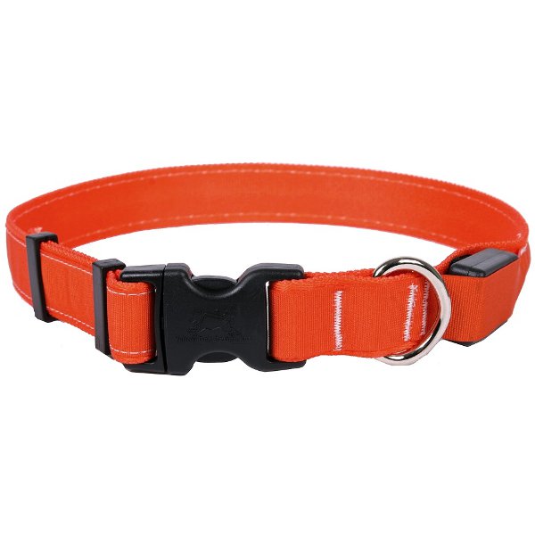 Large Solid Orange LED Dog Collar