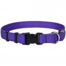 XLarge Solid Purple LED Dog Collar