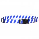 Medium 3/4" Team Spirit Royal Blue and White Dog Collar
