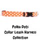 Polka Dots Collar & Leash Collection, Free Shipping