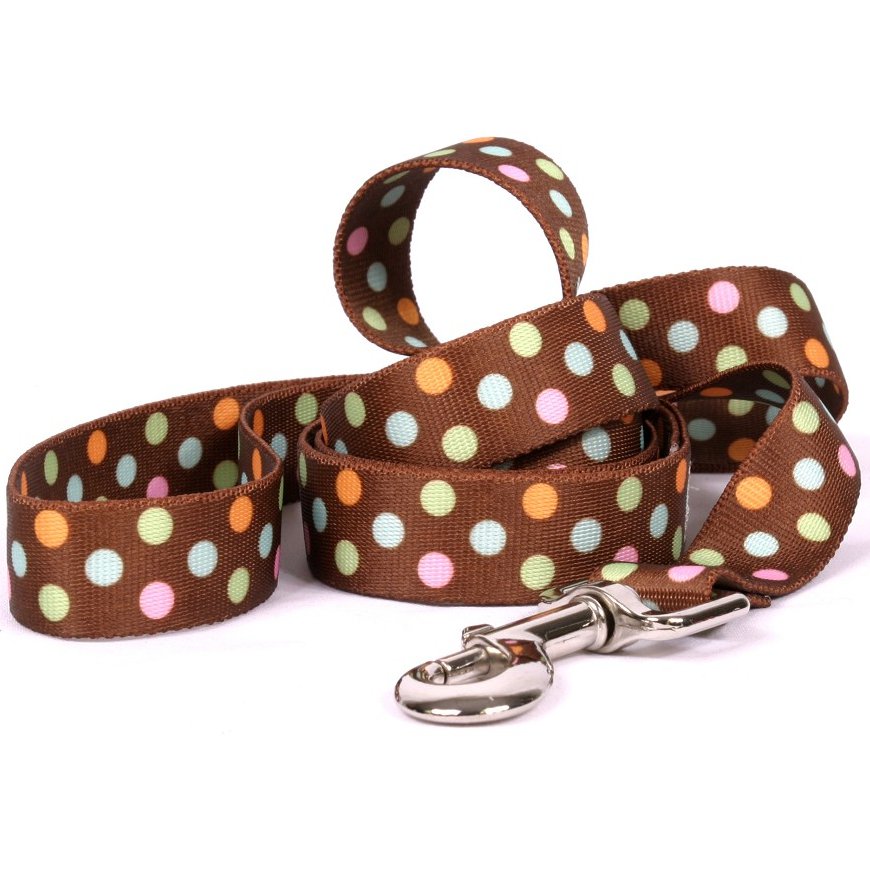 Medium Neopolitan Polka Dog Leash
