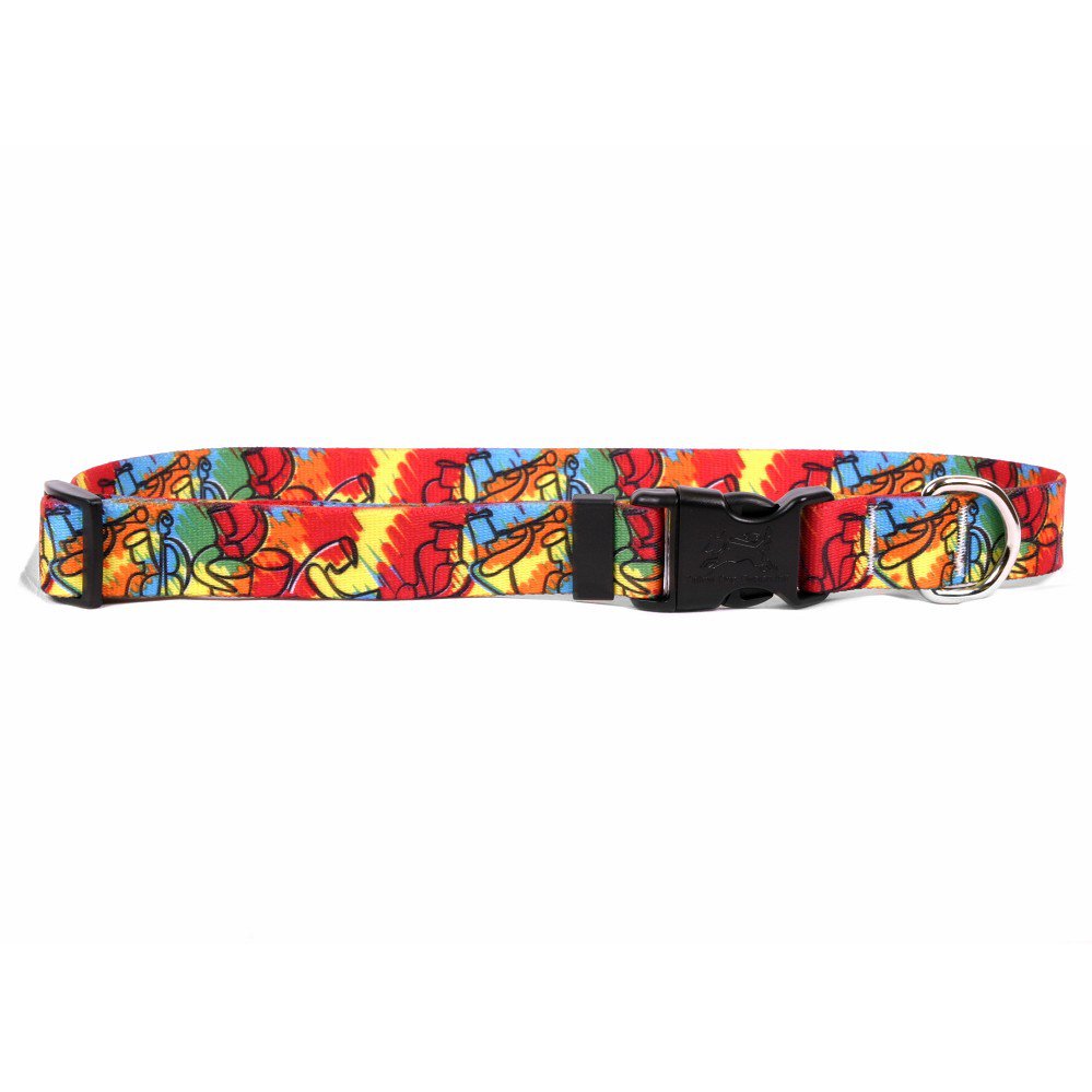 Large Jazz Paint Dog Collar