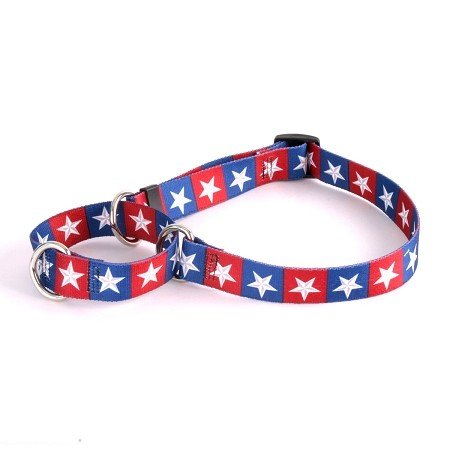 Small Colonial Stars Martingale Dog Collar
