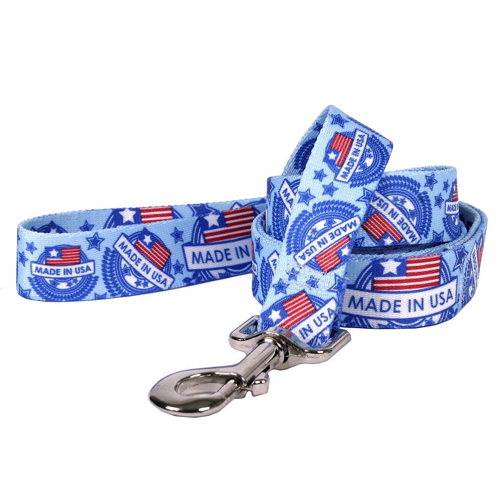 Small Made in USA Blue Dog Leash