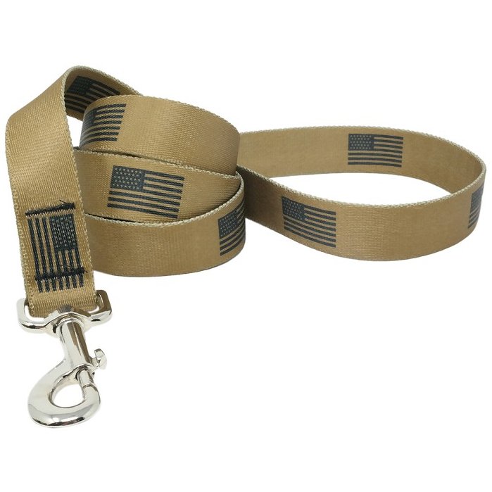 Medium Desert Flag Dog Leash