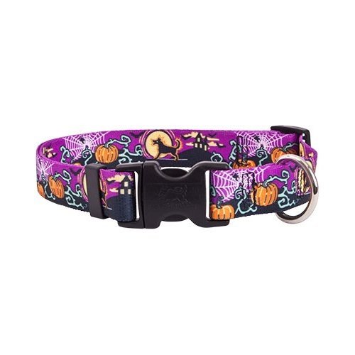 Medium 1" Scary Night Dog Collar