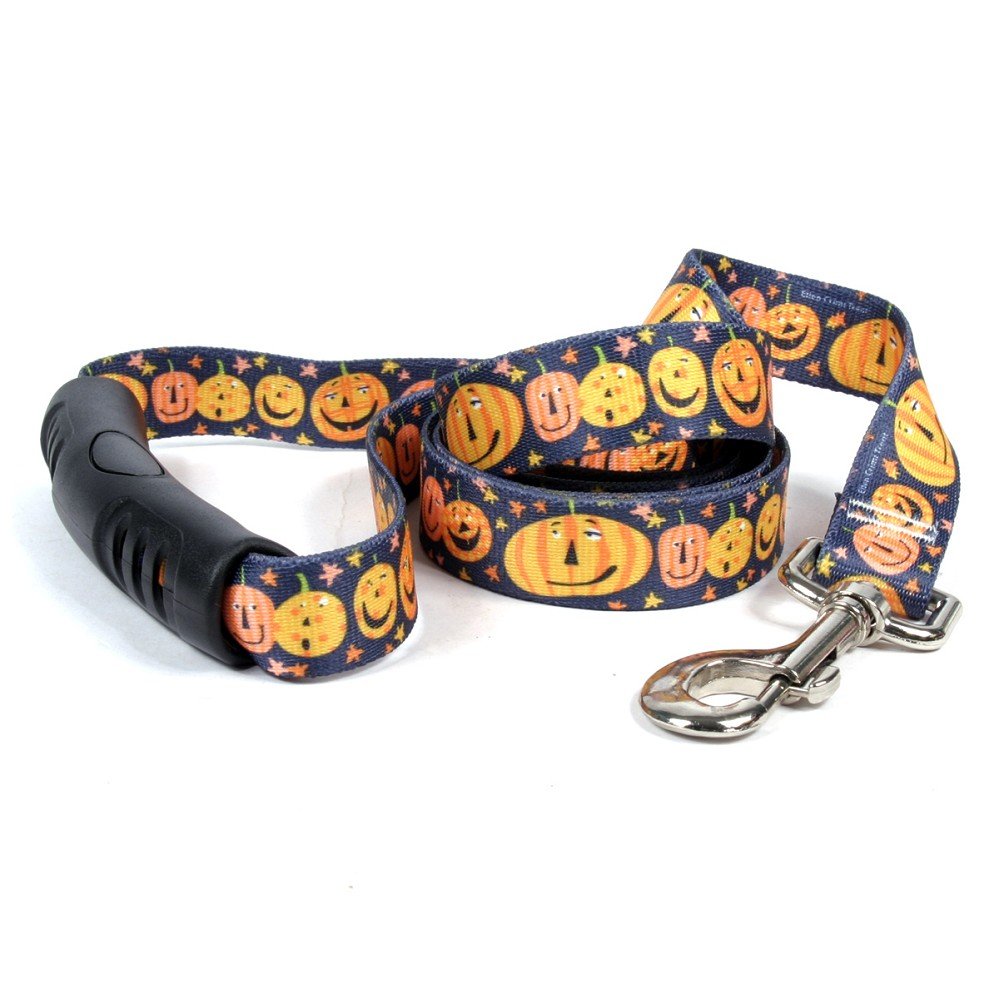 Medium Pumpkin Party EZ Grip Dog Leash
