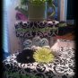 Girly Diaper cake
