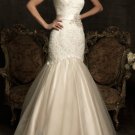 Champagne Ivory Lace Wedding Dress Flower SASH Bridal Gown Sz4 6 8 10 12 14+Custom