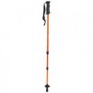 Aluminum Walking Cane