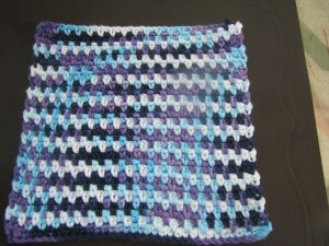 Dish cloth