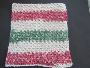 Dish cloth