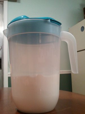 Dirty South Dish Detergent