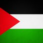 PALESTINE COUNTRY  Sign Flag 3x5ft advertising  banner sign