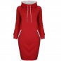 autumn winter dress Long sleeve dresses women dress High collar robe