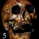 Life Size Corpse Skull Halloween Horror Prop