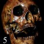Life Size Corpse Skull Halloween Horror Prop