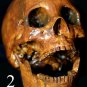 Life Size Corpse Skull Halloween Horror Prop