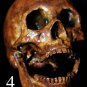 Life Size Corpse Skull Halloween Horror Prop