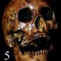 Life Size Corpse Skull Halloween Horror Prop