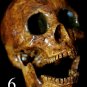 Life Size Corpse Skull Halloween Horror Prop