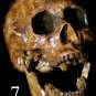 Life Size Corpse Skull Halloween Horror Prop