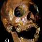 Life Size Corpse Skull Halloween Horror Prop