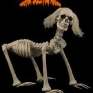 Hector Skeleton Hound Halloween Prop