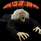 Creeping Flesh Light and Sound Halloween Witch Prop