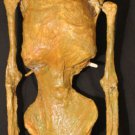 Devil Skeleton Corpse sideshow freak oddity gaff mummy III