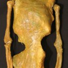 Devil Skeleton Corpse sideshow freak oddity gaff mummy II