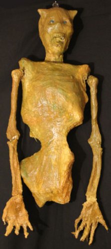 Devil Skeleton Corpse sideshow freak oddity gaff mummy II
