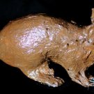 Mummified Rat Halloween Prop